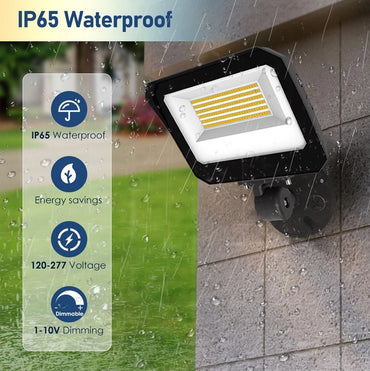 Flood Light (Premium)
